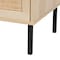 Baxton Studio Caterina MidCentury Transitional Natural Brown Finished Wood and Natural Rattan 1Door Nightstand 220-12861-ZORO - alternate 3